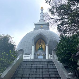 手を合わせ🙏失礼します😌