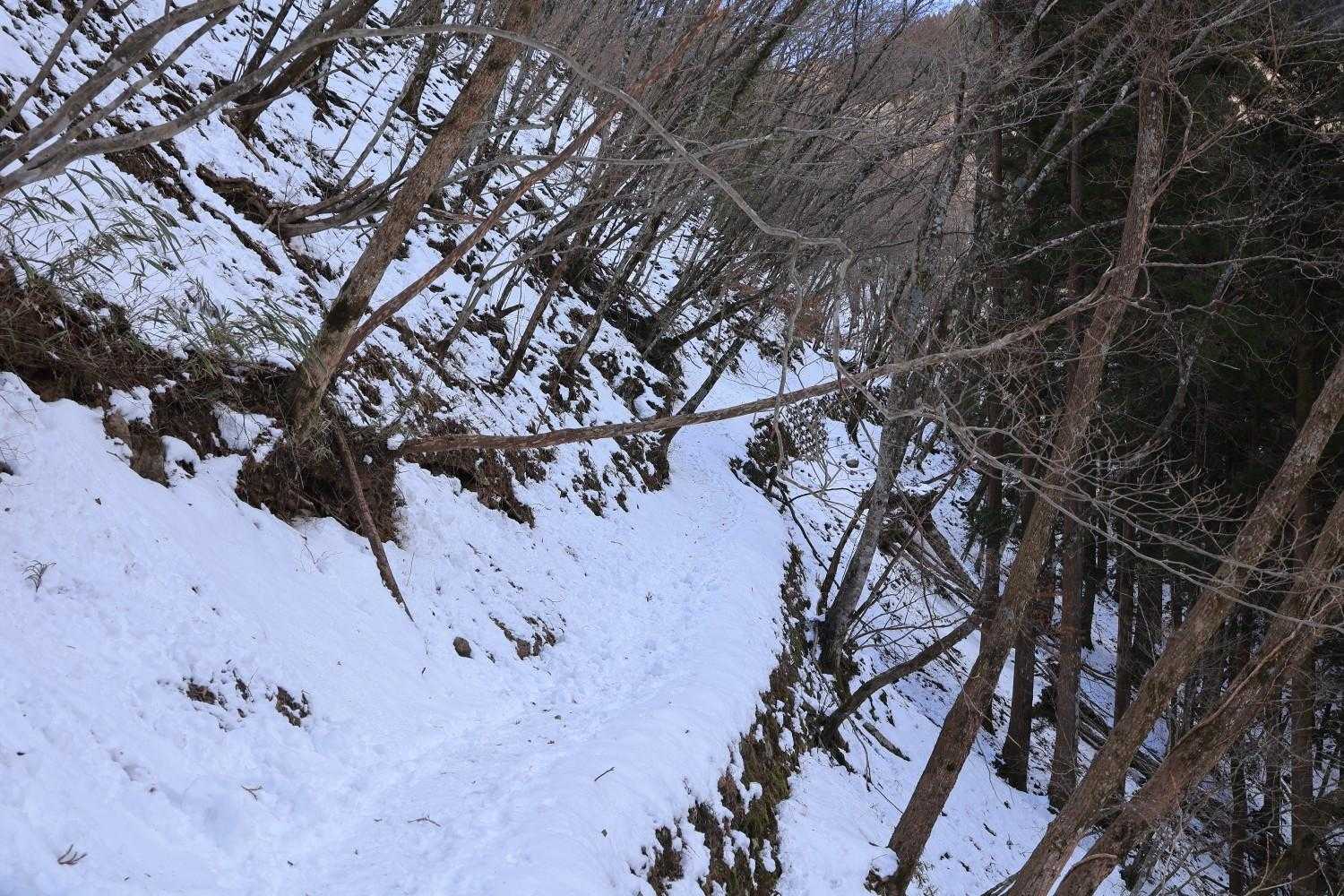 想定外の雪🤣