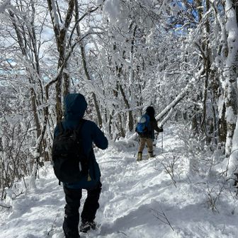 この辺りの日差しは嬉しかった
二人ともサクサク進む