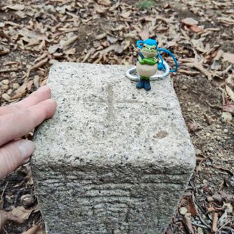 二等三角点タッチ🐸
足でやるのは嫌いです
