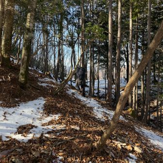 右おくが正式なルートです
戻ります
今日は3回やらかした