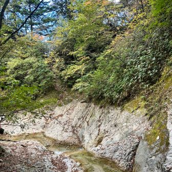 右側の壁が登山道