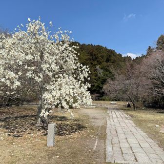 旧天上寺の境内跡
天上寺が1976年1月の火災で全焼したため、
現在は史跡公園となっている