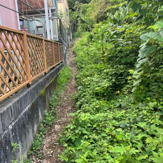 草戸山方面の取り付き