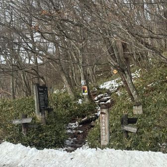 無事にげざーん👍
ありがとうございました🙏