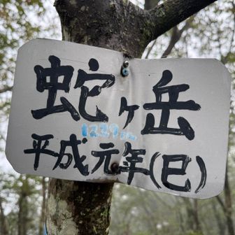 蛇ヶ岳山頂。平成元年生まれなので一度は来たかった山です