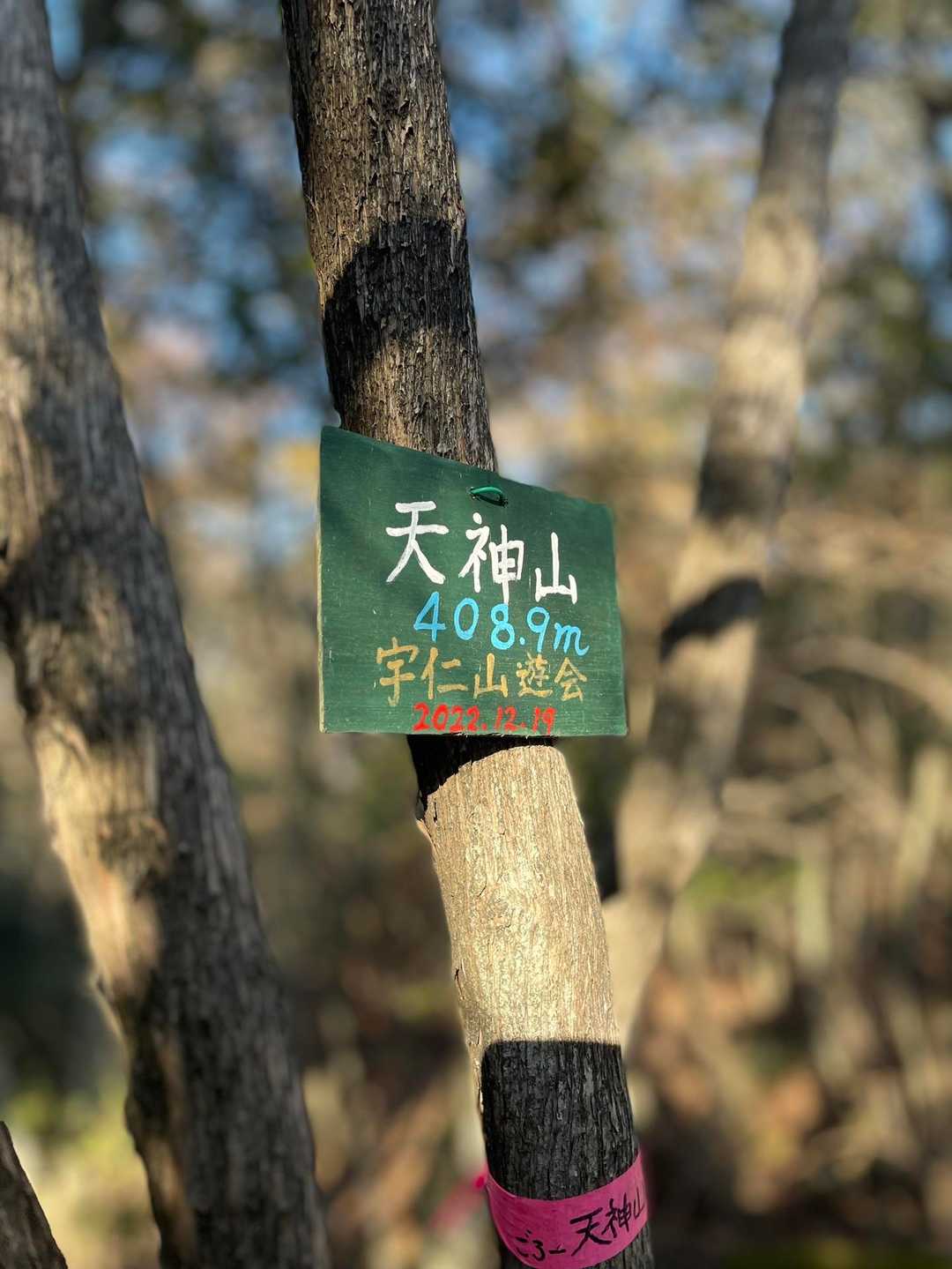 佐伯天神山 往復コースの写真
