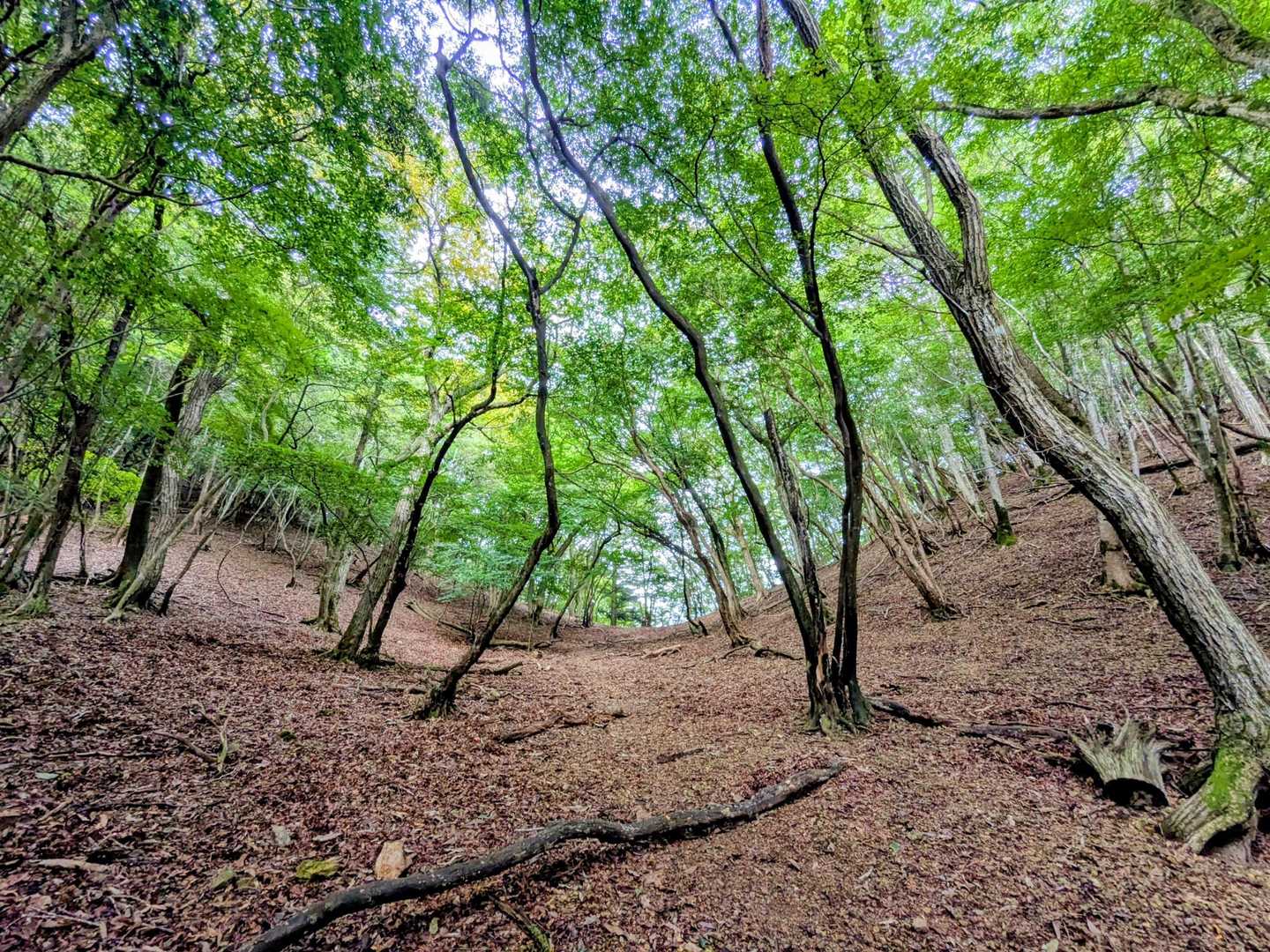 庫阪峠