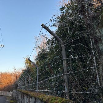 有刺鉄線の塀✨

城山⛰️100m以内でピーク獲得となるのですね🙄