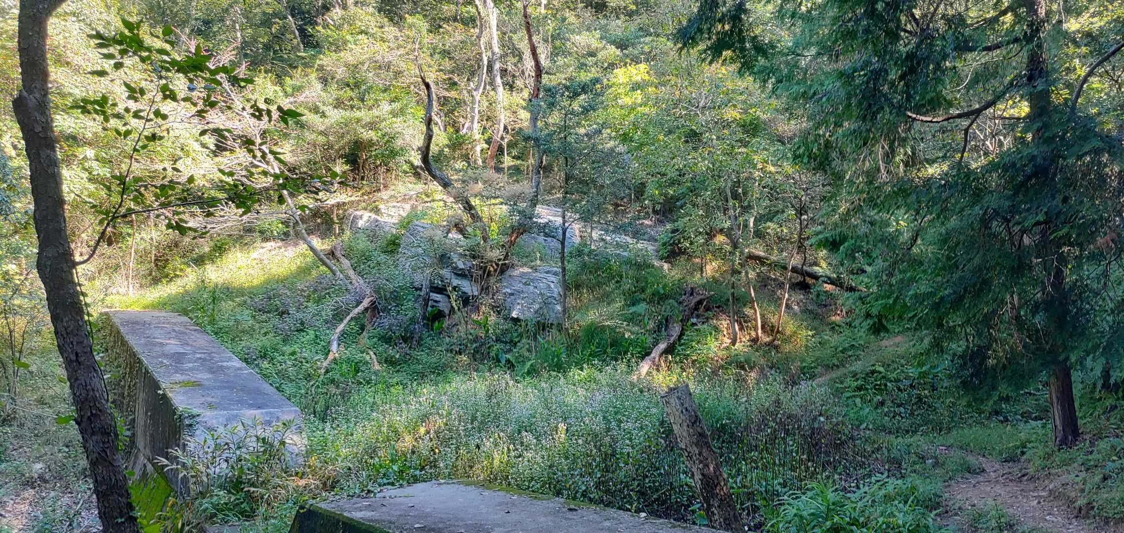 砂防堰堤