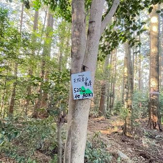 これが合ってる山名