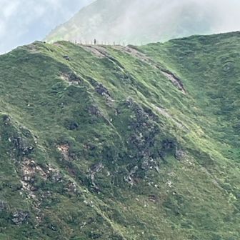 遠くの尾根の左手から🐻が飛び出したらしい。