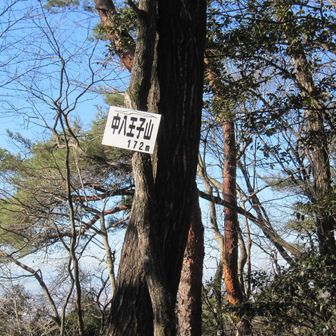 5座目　中八王子山