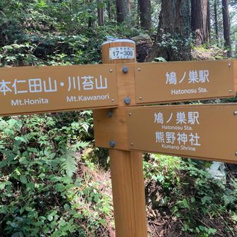行きは熊野神社方面から来ましたが、帰りは鳩ノ巣駅方面へ向かいます