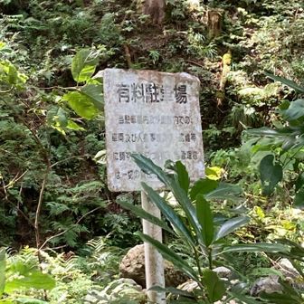 駐車場🅿️に戻ってきました
有料駐車場のようだが料金箱も見つからない