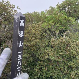 まっしろしろすけ！