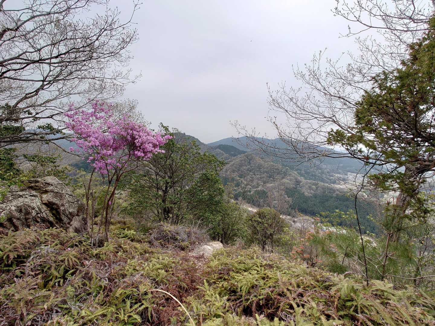 小坪山山頂からも素晴らしいですね😀