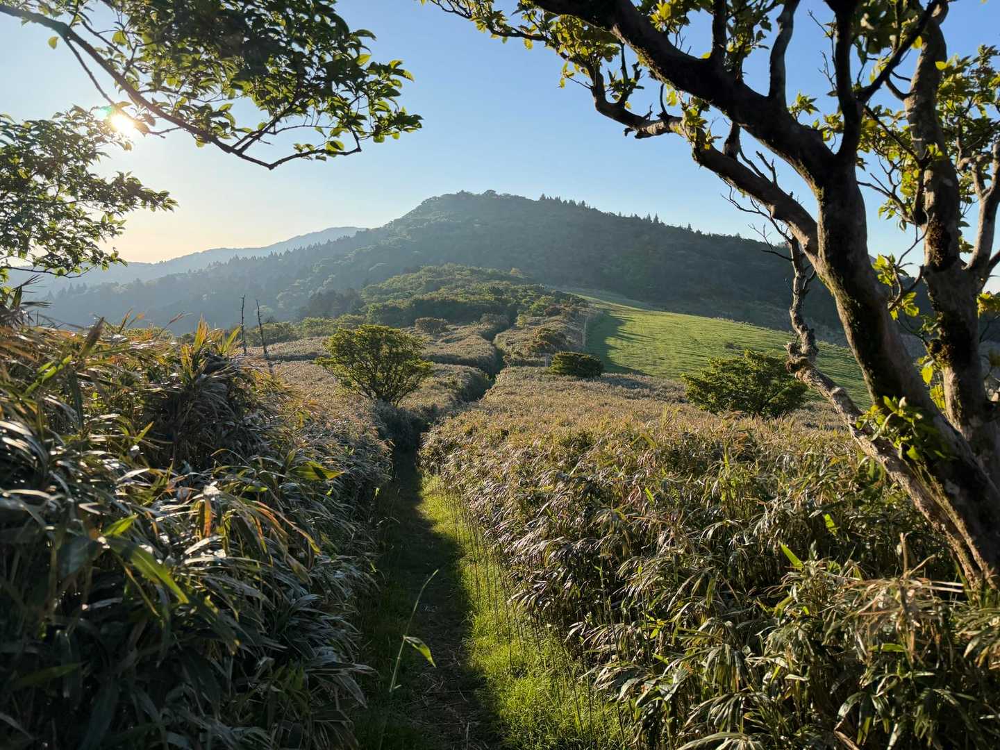 展望台を降りて、後藤山へ向かいます⛰️