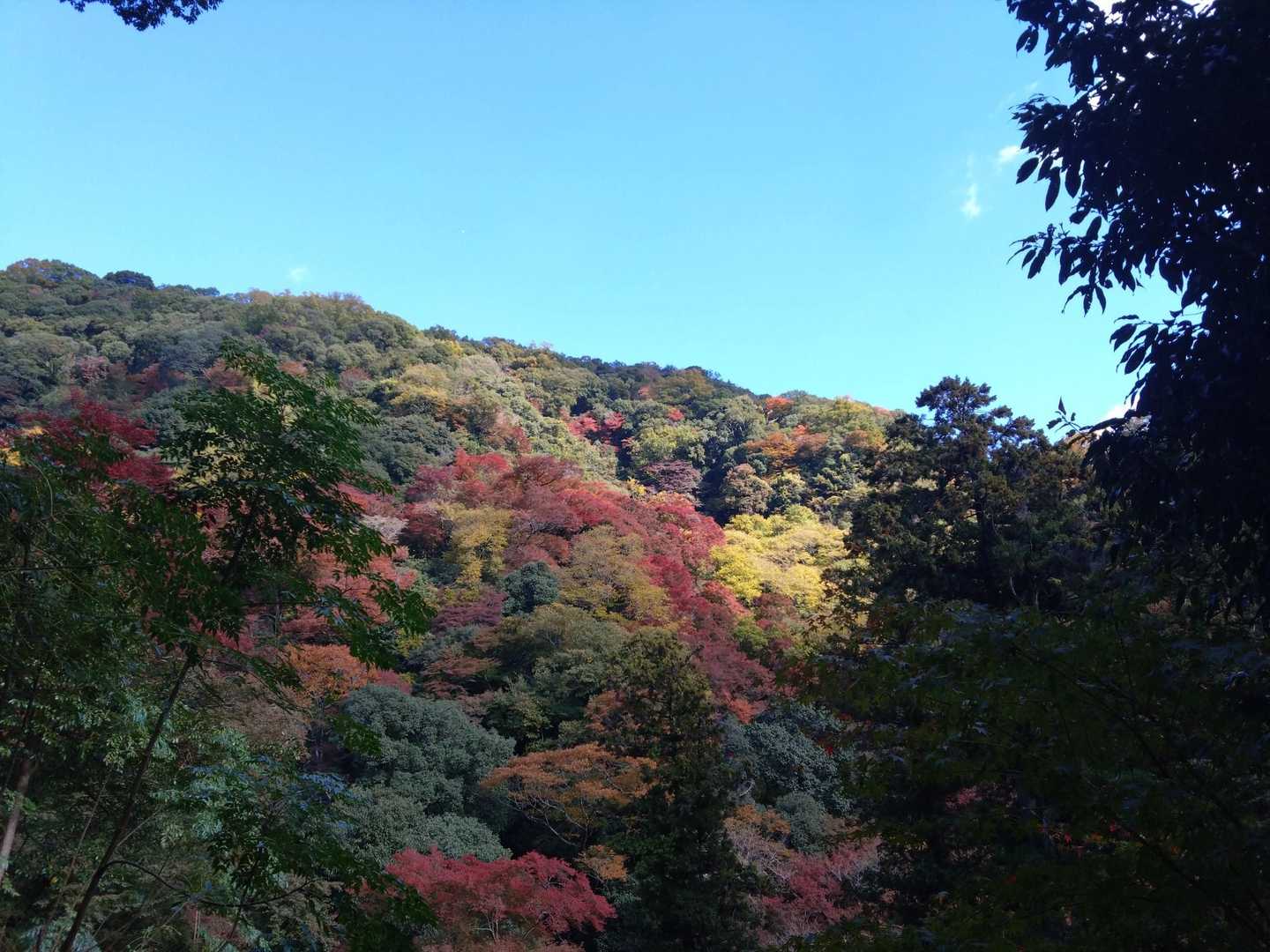 瀧安寺-石子詰登山口-天上ヶ岳 周回コースの写真