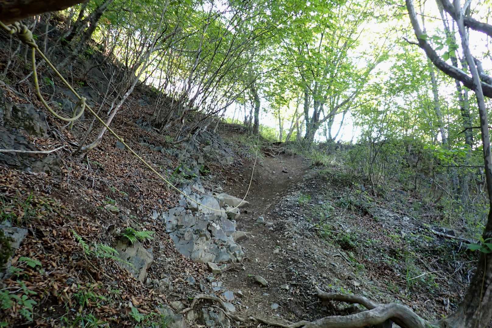 …急登の始まりです💦