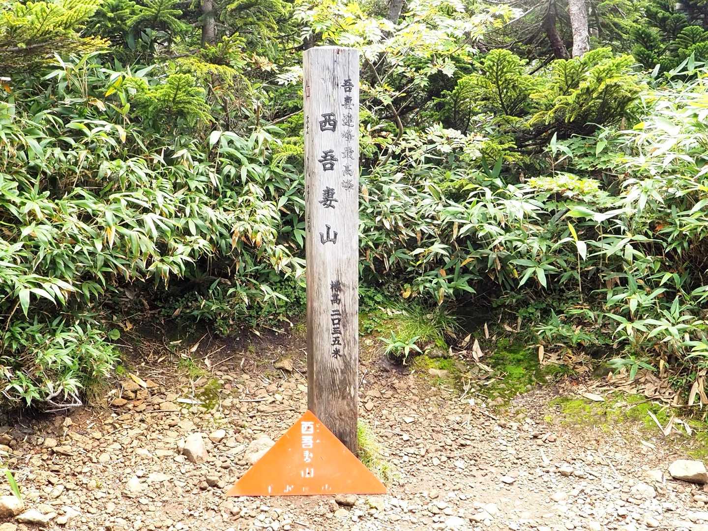 山頂到着しました。
景色は無しです。