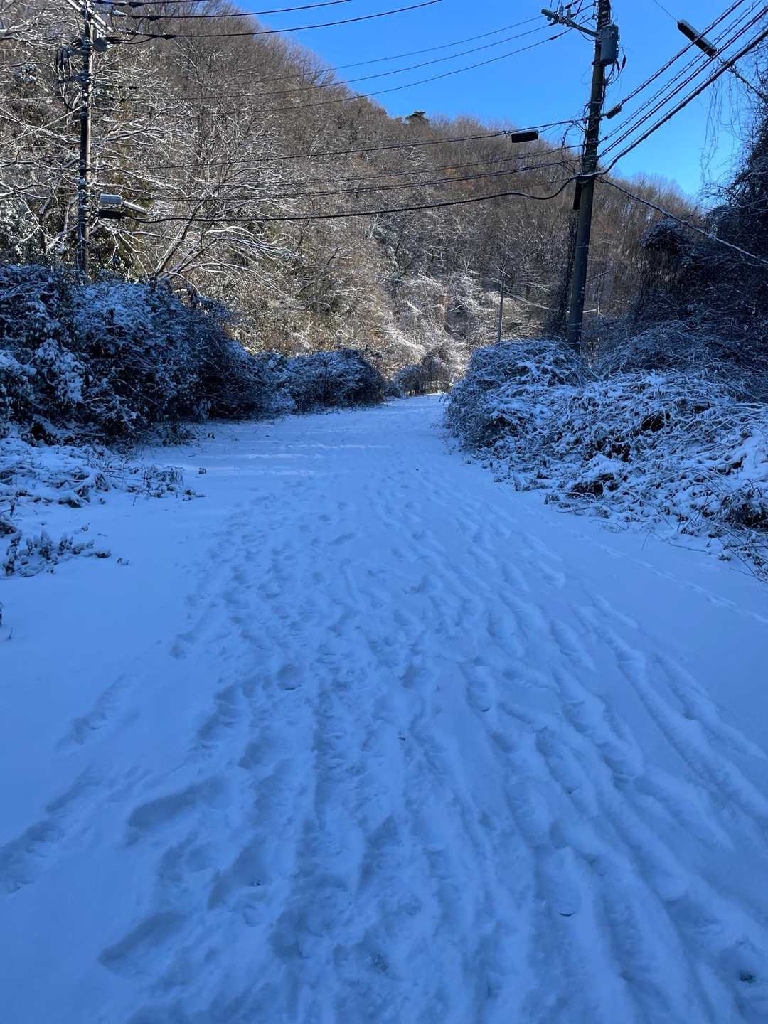 向陽台スタート。結構積もってます。