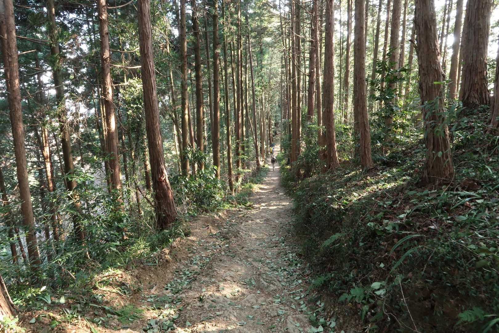 来た道を下ります