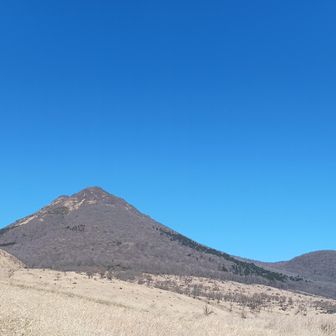 ほんと素敵な青空だった💙