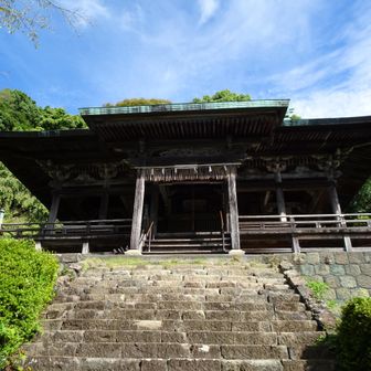 アブ・ぶよがいる