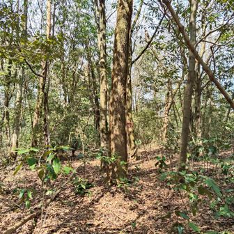 眺望なし…すぐ戻ります