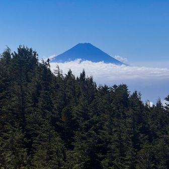 山頂からの富士山