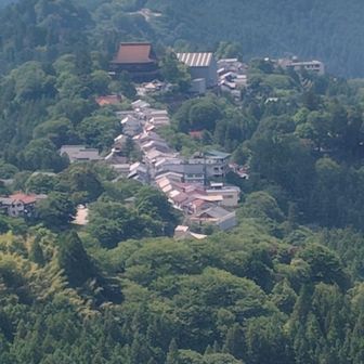 金峯山寺が見えます