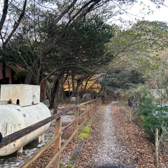 今日はココからスタート🚶‍♂️