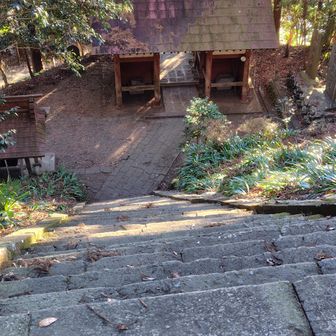 !!!!石の階段！！
今まで見たことがない斜度でビックリ🫨
踏み外したら転がり落ちそうでビビって迂回することにしました