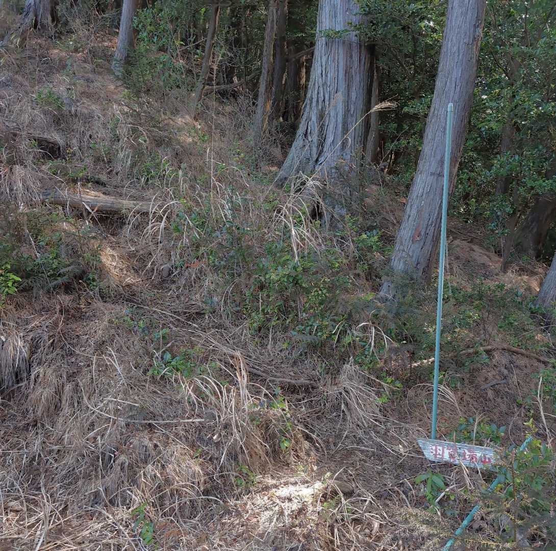 ちょっと分かりづらい登山口