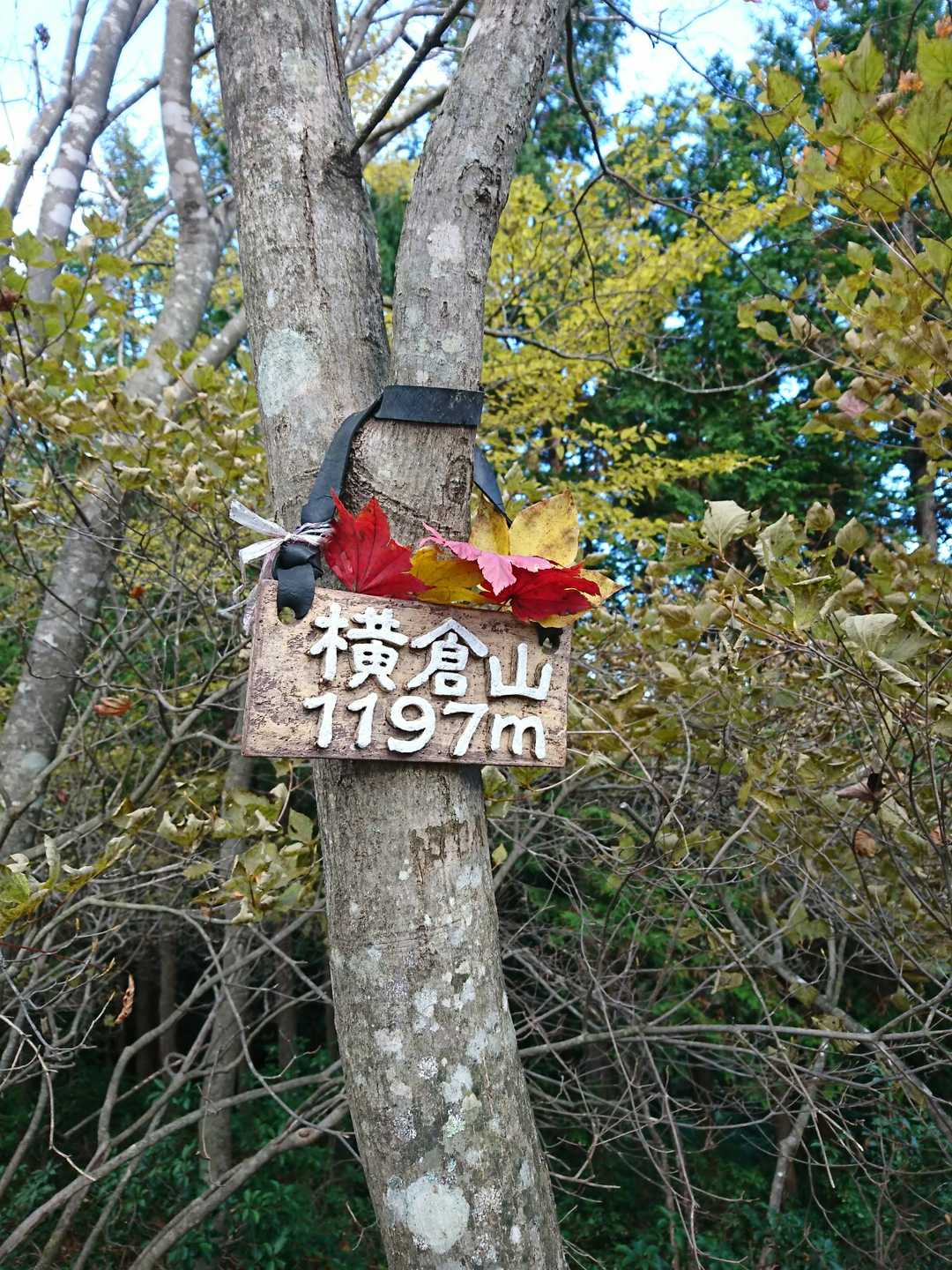 横倉山▲

誰かがキレイに飾り付けてくれたね🙌