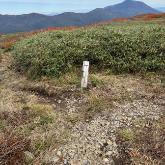 笊森山から降り、分岐点。
左に行けば乳頭山ですが、池糖群を見に右手に進みます。