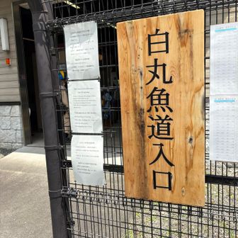 中に入ると・・・