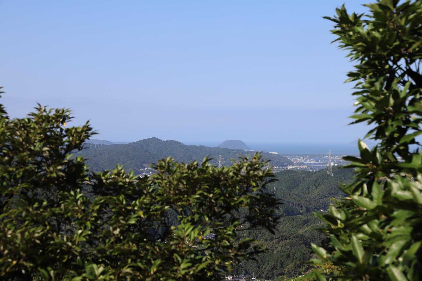岸岳登山口-岸岳 往復コースの写真