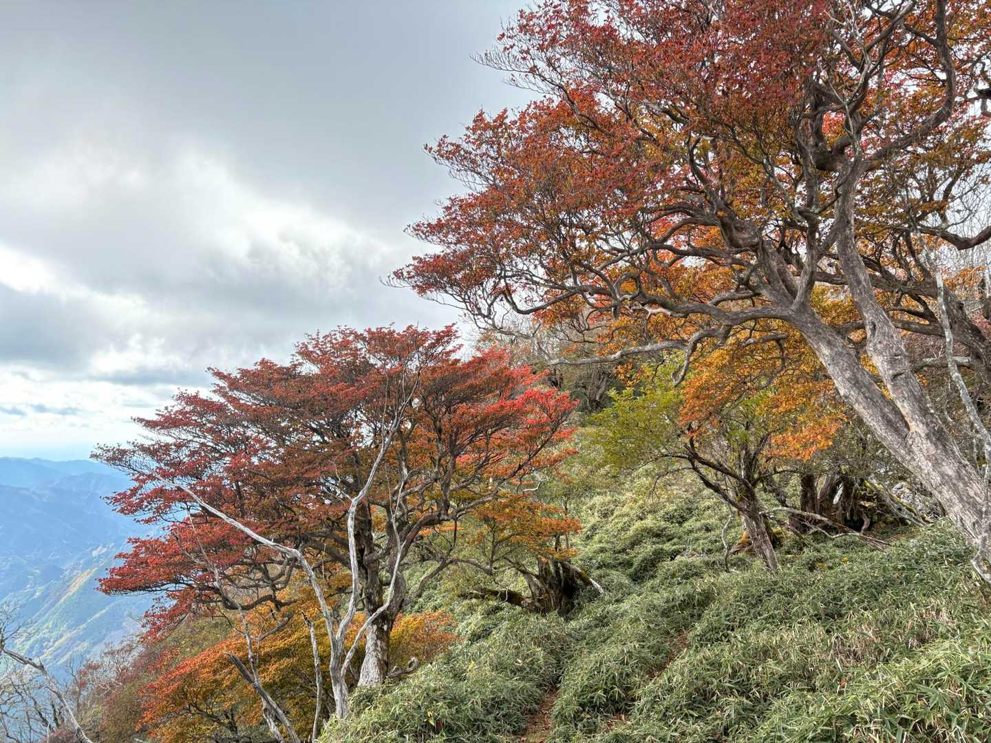 日和田登山口-石立山 往復コースの写真