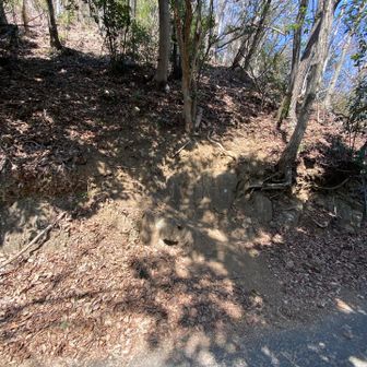 合流点を振り返って。そう見えないですが、すごく急。