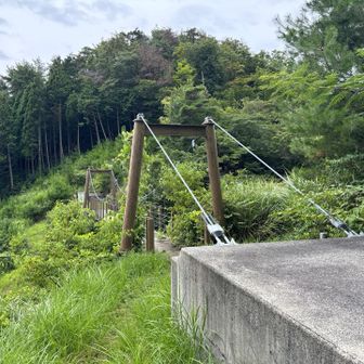 つり橋まで降りてきました