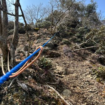 とにかく、こんなばっか😆急登だこと
足場も悪いから、なかなか登りごたえある。