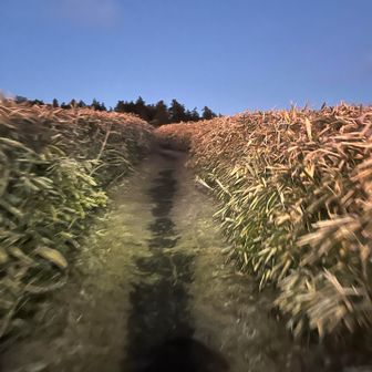 急げ急げって急いでた。