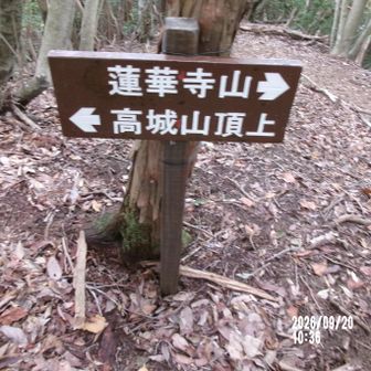 みどり坂高城山登山口分岐