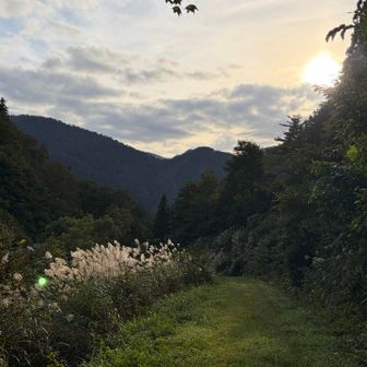 秋の下山🍂
やっぱり山はいいね。