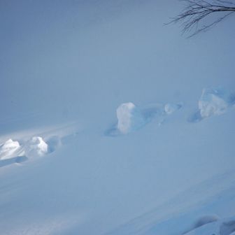 雪山を巡礼しているような雪だるま達。活動日記の掲載制限枚数10枚に付き、割愛しているのは、わたしの偏愛に満ちた写真と、皆がレンズを向ける定番的な写真。その両方を兼ね備えたものに、ストーリー性を見いだしている時は、疲れや時の流れが一時的に無効になる…それが趣味であり、生きがいなのかもしれない。。