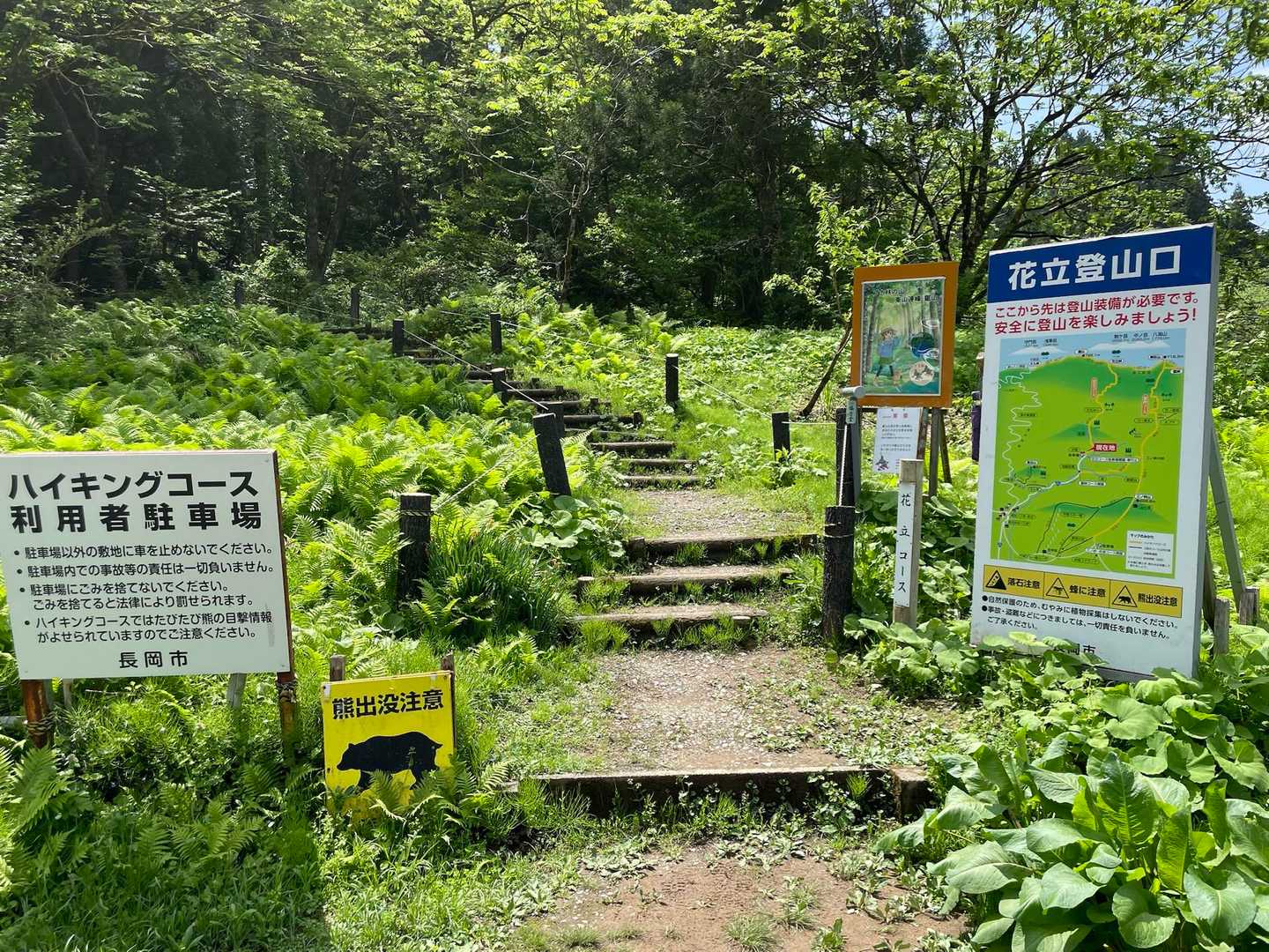 お久しぶりです