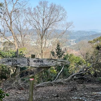 条件が良ければ、ここから富士山か見える…みたいです。