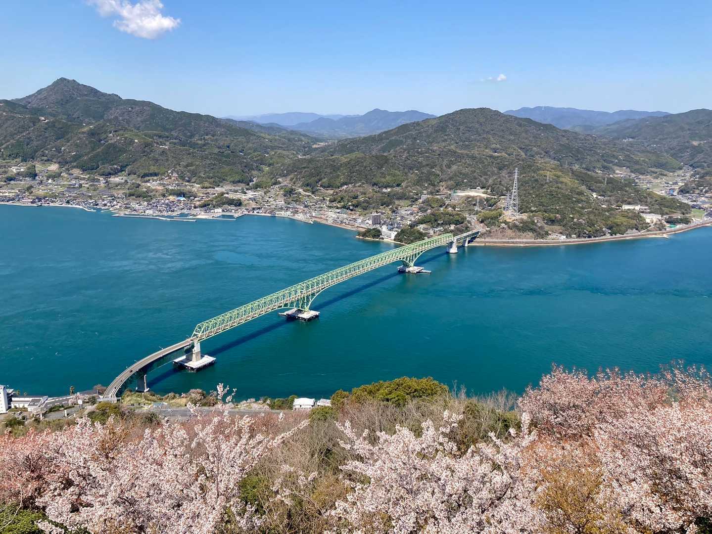 凄まじい絶景‼️
桜と大島大橋。
左端は琴石山。近々行くからな‼️